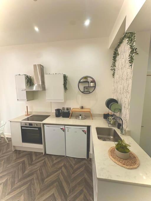 Belgravia House Apartment Sheffield